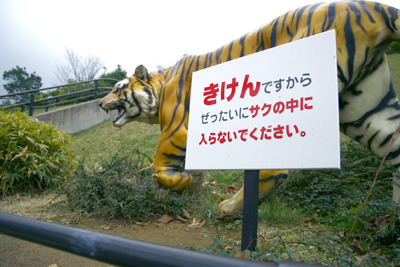 ishikawa_zoo_tora_mokei.jpg